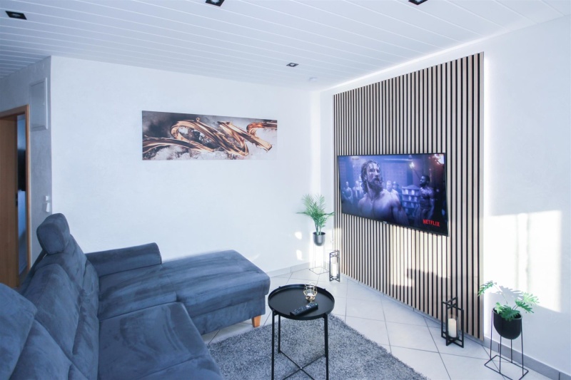 BS18A1_ALFA_APARTMENTS_11_Zimmer_Room_Wohnzimmer_Living_Room